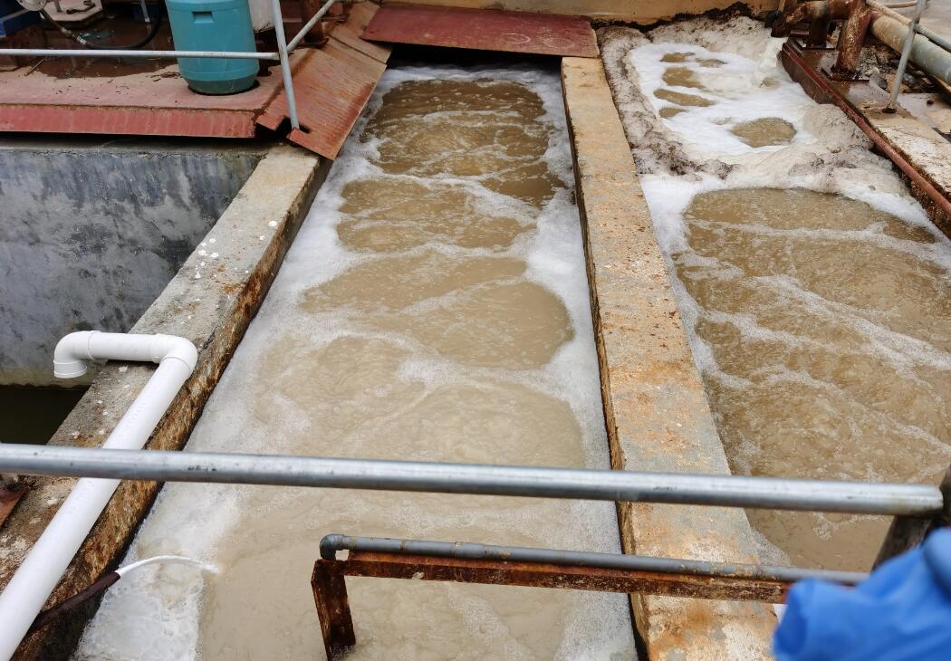 Chemical plant sewage treatment